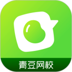 青豆网校