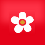 老汉影院日本版