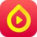 种种视频升级版