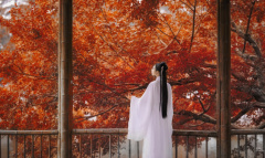 《侠女逍遥录》堕落值增加方法