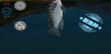 与钓鱼达人类似的手游