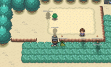 Pokemmo成都球果分布位置大全1