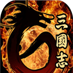 三国志8ps版