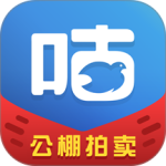 咕咕信鸽2024版