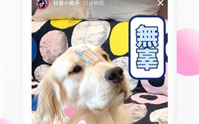 可以永久免费看的私人影院播放器APP