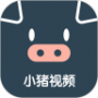小猪视频1.2.50版本