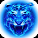 四虎影音无限制版