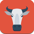 黑牛直播免费版