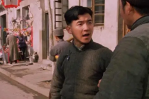 斯丹康梗有哪些意思