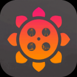 午夜向日葵视频纯净版