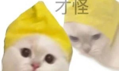 oi梗为什么这么火