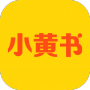 小黄书无限制版