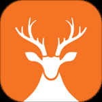 前途问鹿（高考志愿填报）