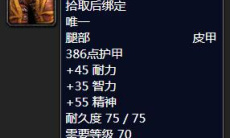 《魔兽怀旧服》掠夺者因格瓦尔装备掉落1