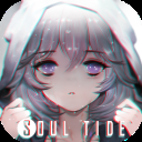 灵魂潮汐bilibili版
