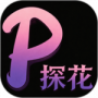 探花视频