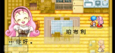 牧场物语矿石镇的伙伴们最新版手游