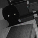 寻找伪人监控中文版