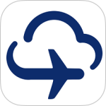 胜意费控云