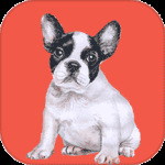狗狗助手2024版