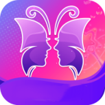 金蝶直播看B站版