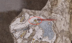 《艾尔登法环》前往化圣雪原方法1