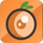 夜映直播免费版