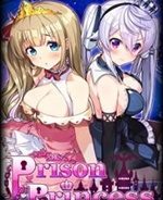 监狱公主中文版