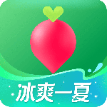 叮咚买菜2024版
