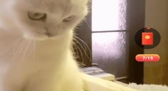 类似火火小视频的APP