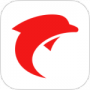 海豚股票