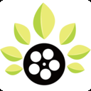 叶子影视完整版