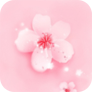 桃花社区完整版