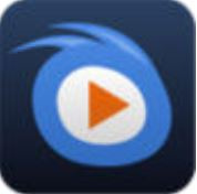 99精品视频高清版