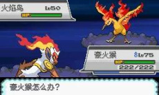 口袋妖怪心金金手指代码大全一览1