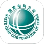 网上国网