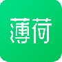 薄荷健康2024版
