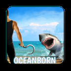 木筏求生2国际版