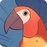 孤独的鸟儿中文版无广告