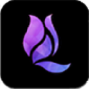 午夜兰花直播高清版