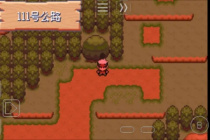 《口袋妖怪究极绿宝石5.5》全Z纯晶位置大全