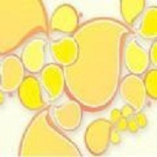 芬达直播免费版