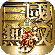 真三国无双霸