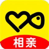 伊对永久会员版