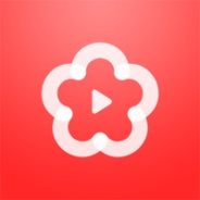 梅花视频免费版