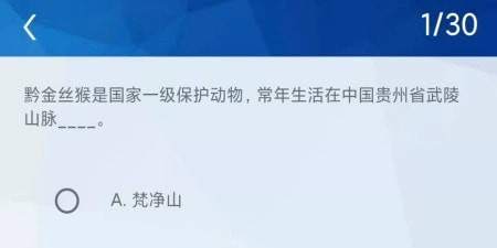 答题有宝版本手游