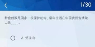 答题有宝版本手游