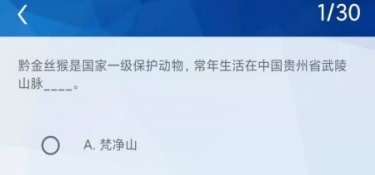 答题有宝版本手游