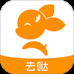 去上网