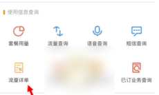 《电信营业厅》查询通话记录清单方法2